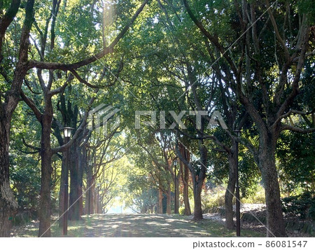 陽光公園 陽光公園 86081547