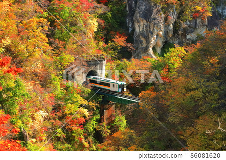 [宮城縣]紅葉列車穿越鳴子峽 86081620