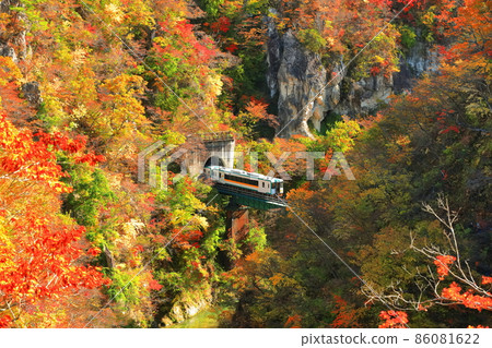 [宮城縣]紅葉列車穿越鳴子峽 86081622