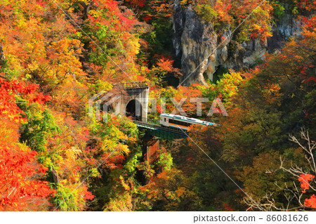 [宮城縣]紅葉列車穿越鳴子峽 86081626