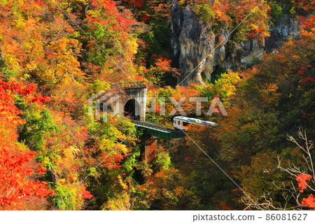 [宮城縣]紅葉列車穿越鳴子峽 86081627