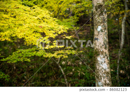 Yamanori valley surrounded by megaliths reminiscent of landscape paintings Yamanori valley surrounded by megaliths reminiscent of landscape paintings 86082123