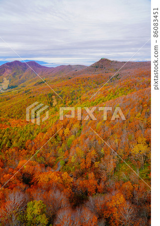 Autumn Zao scenery of autumn leaves (Yamagata City, Yamagata Prefecture) Autumn Zao scenery of autumn leaves (Yamagata City, Yamagata Prefecture) 86083451