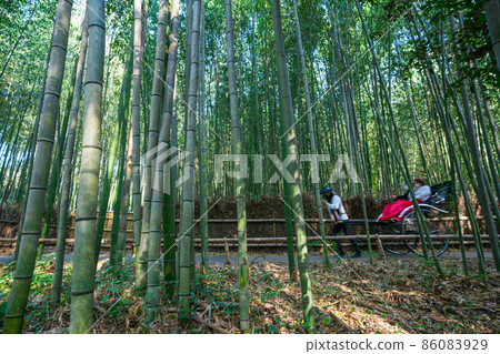Kyoto Sagano Bamboo Forest Small Diameter and Rickshaw 86083929