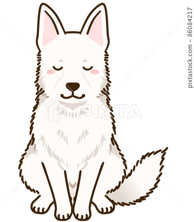 鞠躬白牧羊犬 86084217