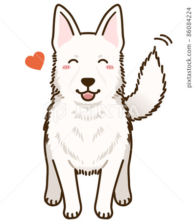 Natsuki White Shepherd 86084224