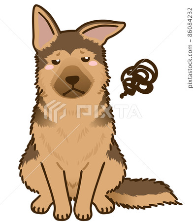 Dissatisfied German Shepherd Dissatisfied German Shepherd 86084232