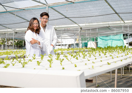 Hydroponics, two Asian scientists, tested the standards and collected chemical data of the organic vegetables grown using hydroponics in the nursery Hydroponics, two Asian scientists, tested the standards and collected chemical data of the organic vegetables grown using hydroponics in the nursery 86087950