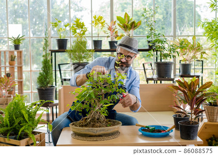 An elderly man handsome with have mustache wearing glasses is happy with tree care. is a hobby of gardening at home, living happily after retirement. Concepts nature and environment An elderly man handsome with have mustache wearing glasses is happy with tree care. is a hobby of gardening at home, living happily after retirement. Concepts nature and environment 86088575