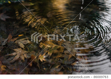 Ripples and maples Ripples and maples 86089763