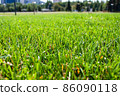 Green grass background. Close-up. Green grass texture. 86090118