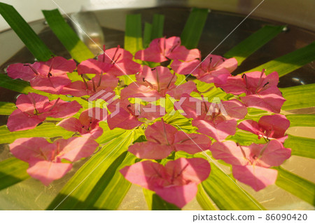 Bougainvillea floating on the water 86090420