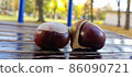 Two chestnut fruits close up High quality 86090721