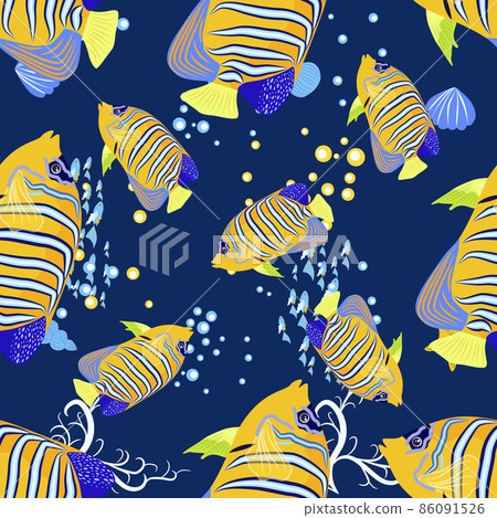Emperor angelfish, Pomacanthus imperator seamless patterns, sea animal wildlife character. Nature underwater, marine wild ocean zoo fish 86091526
