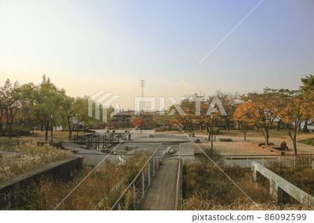 仙遊島公園秋景 86092599