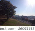 Enoki, the sun, and the blue sky 86093132