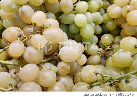 Stack of white grapes on a market stall 86093170