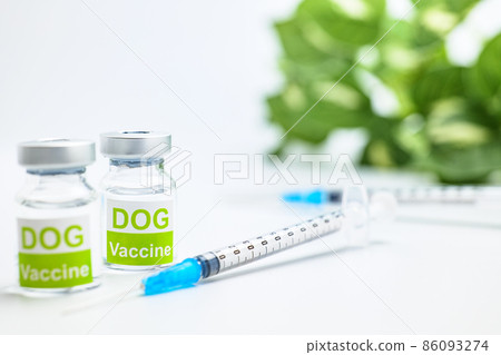 狗疫苗接種圖片 86093274