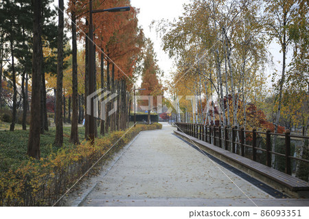 秋葉仙遊島公園林道 秋葉仙遊島公園林道 86093351