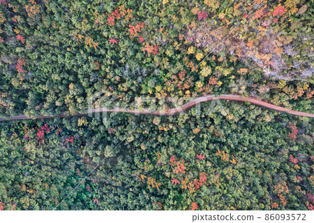 Top view of colorful autumn forest with winding road in tropical rainforest at national park Top view of colorful autumn forest with winding road in tropical rainforest at national park 86093572