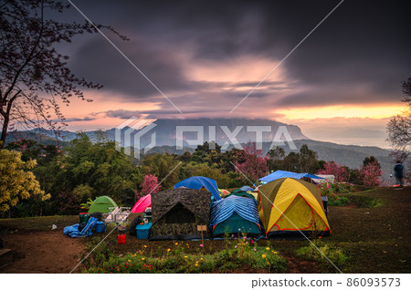 Tourist tents pitching waiting for the sunrise on Doi Luang Chiang Dao mountain with cloudy and spring forest in national park Tourist tents pitching waiting for the sunrise on Doi Luang Chiang Dao mountain with cloudy and spring forest in national park 86093573
