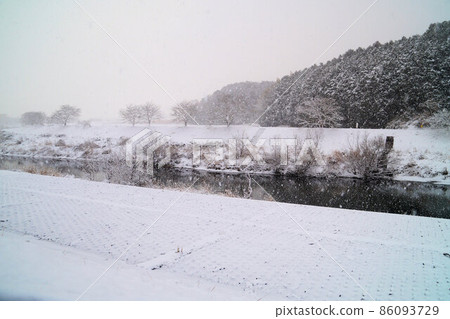 一月河邊櫻花上的雪 一月河邊櫻花上的雪 86093729