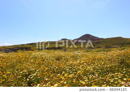 希臘古遺址島，提洛島，希臘 86094185