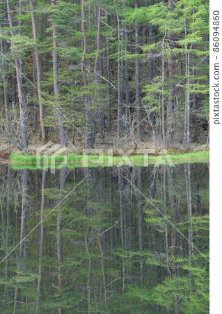 Mishakaike Pond Green Pond Mishakaike Pond Green Pond 86094860