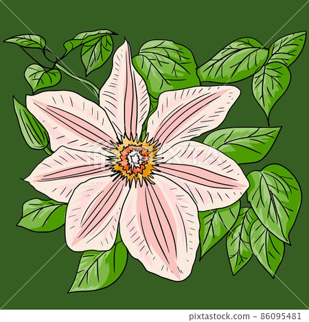 Lily flower. Beautiful, bright, yellow flower. Vector illustration 86095481