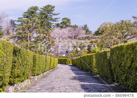 Matsusaka sightseeing spot Sakura and Gobanjo mansion Sakura and Matsusaka castle ruins (Matsusaka) Spring sightseeing spot in Mie prefecture 86096478