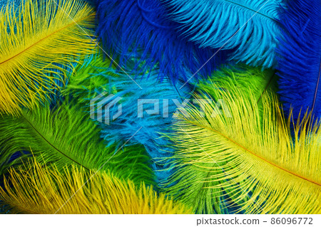 Brazilian background from feathers in the Brazilian ethnic color. Rio carnival, mardi gras background Brazilian background from feathers in the Brazilian ethnic color. Rio carnival, mardi gras background 86096772