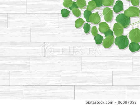 Green leaves and wood grain white background vector illustration 86097052