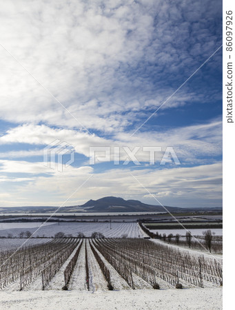 Winter vineyards under Palava near Sonberk, South Moravia, Czech Republic Winter vineyards under Palava near Sonberk, South Moravia, Czech Republic 86097926