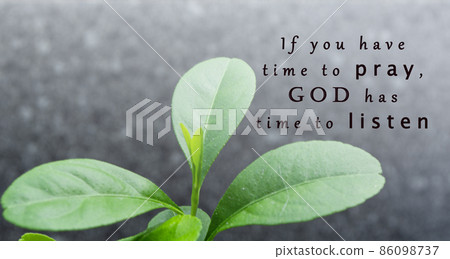 Motivational and inspirational quote on blurred background of green plant 86098737