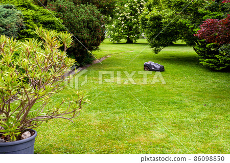 robotic lawnmower mowing garden lawn 86098850