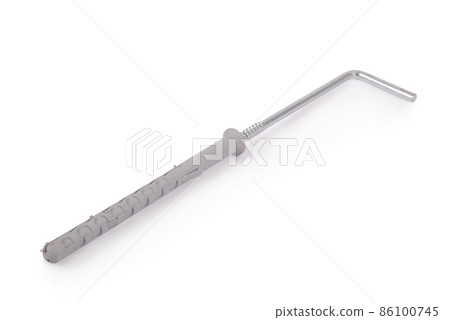 Screw and dowel 86100745