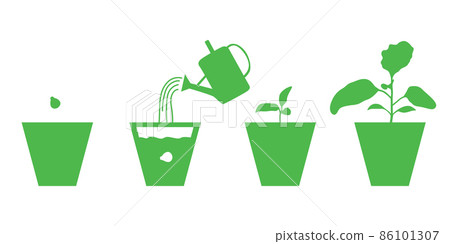 Growing eggplants seedlings in pots set 86101307