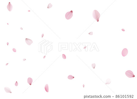 Sakura petals backdrop. Holiday cherry vector Sakura petals backdrop. Holiday cherry vector 86101592