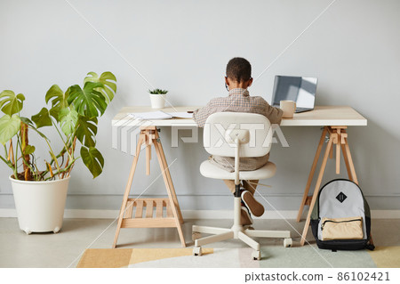 Boy Studying at Home Back View 86102421