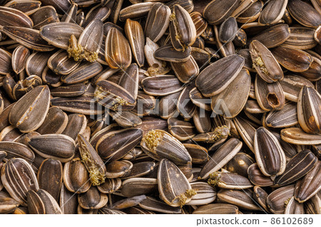 sunflower seeds corrupted with pantry flour moths sunflower seeds corrupted with pantry flour moths 86102689