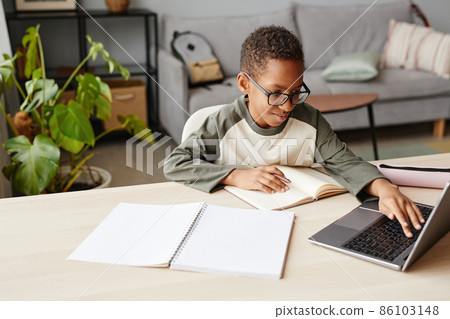 African American Boy Studying at Home African American Boy Studying at Home 86103148
