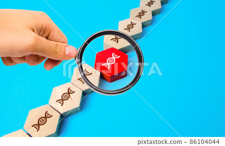 Gene study in a DNA chain. Mutations and genetic diseases. Gene therapy modification of cells to produce a therapeutic effect. Family tree and pedigree. Disease propensity. Paternity confirmation. 86104044