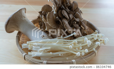Assorted mushrooms │ King trumpet mushrooms, mushrooms, enoki mushrooms 86104746