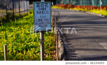 Announcement of sowing rapeseed / Hibiya Park Announcement of sowing rapeseed / Hibiya Park 86104893