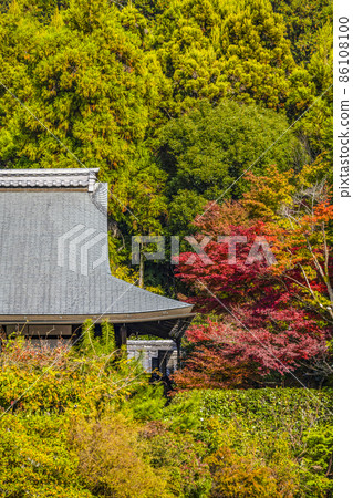 Autumn Ryoanji Temple (Kyoto) Daijuin 86108100