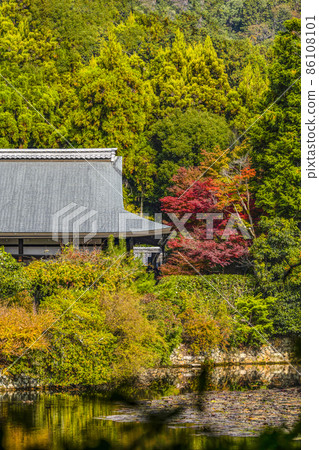 Autumn Ryoanji Temple (Kyoto) Daijuin 86108101