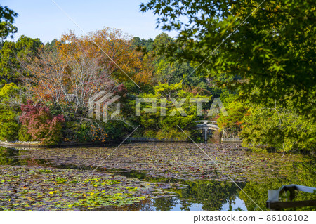秋 龍安寺(京都) 京葉池 秋 龍安寺(京都) 京葉池 86108102