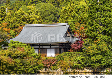 Autumn Ryoanji Temple (Kyoto) Daijuin 86108128