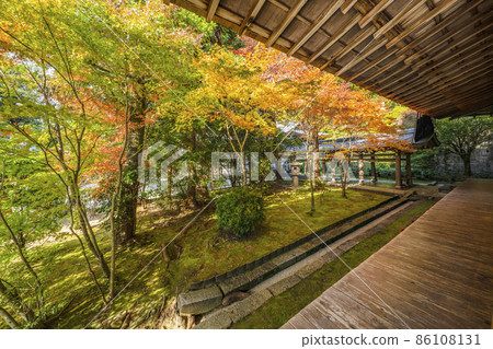 Autumn leaves in the precincts of Ryoanji Temple (Kyoto) 86108131