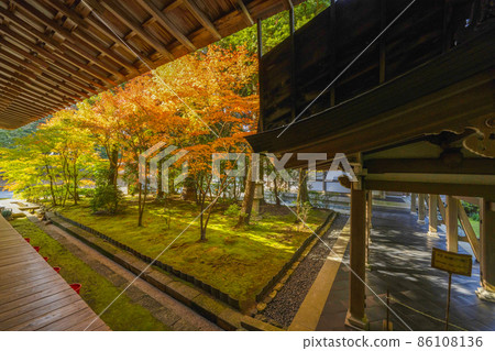 Autumn leaves in the precincts of Ryoanji Temple (Kyoto) 86108136